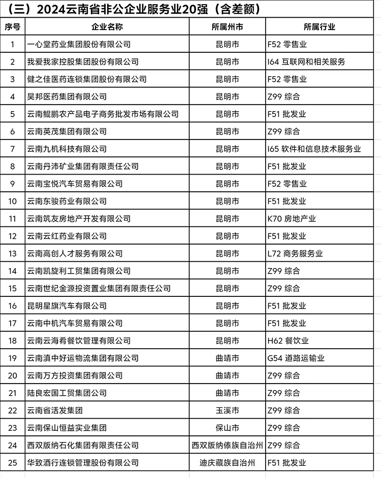《2024云南省非公企業(yè)服務(wù)業(yè)20強(qiáng)》完整榜單