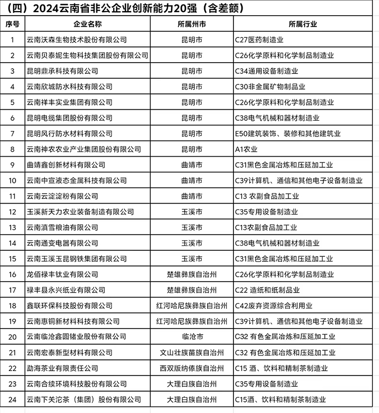 《2024云南省非公企業(yè)創(chuàng)新能力20強(qiáng)》完整榜單