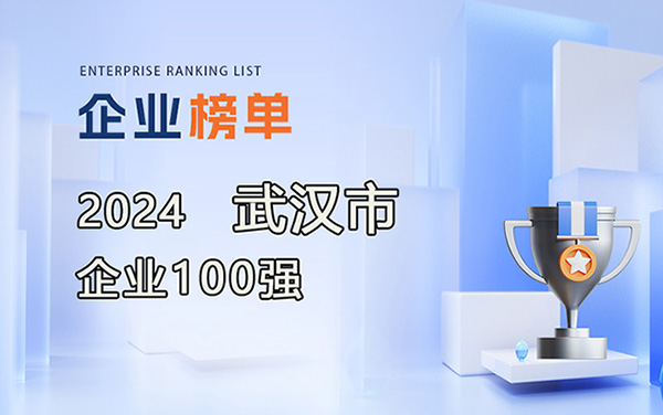 2024武漢企業(yè)100強(qiáng)